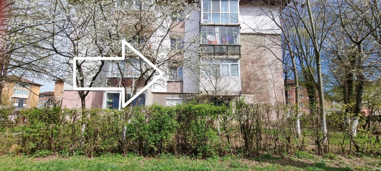 Studio Vale Apartment Hunedoara Exterior foto