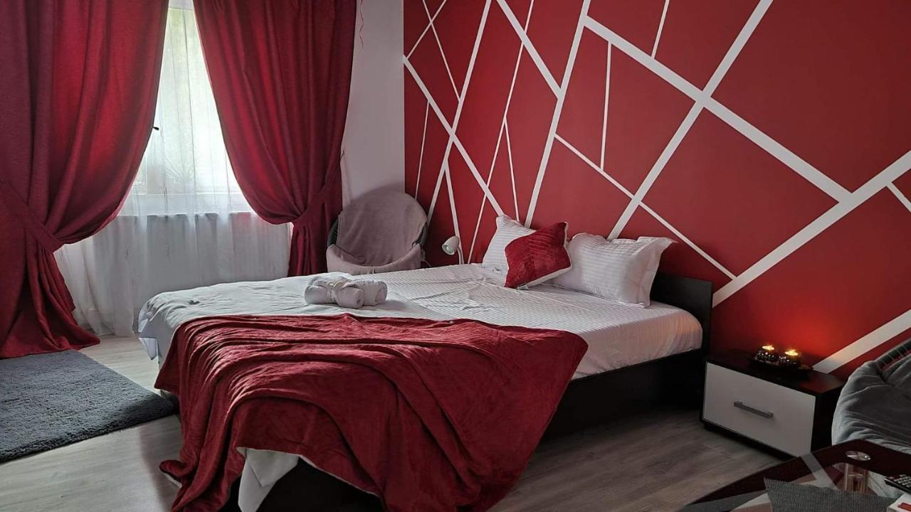 Studio Vale Apartment Hunedoara Exterior foto