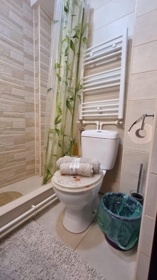 Studio Vale Apartment Hunedoara Exterior foto