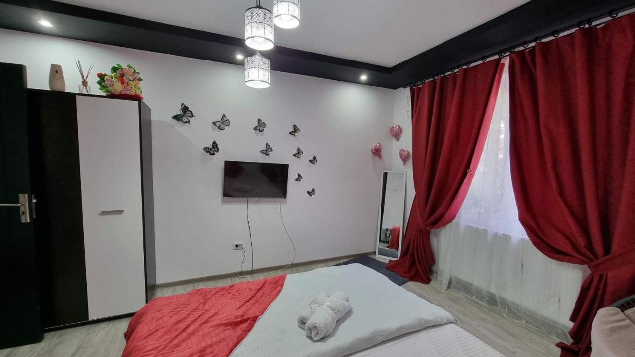 Studio Vale Apartment Hunedoara Exterior foto