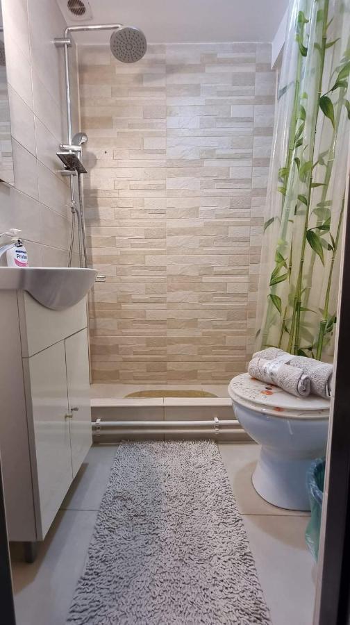Studio Vale Apartment Hunedoara Exterior foto